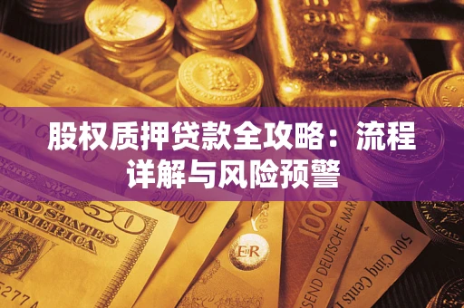 济南股权质押贷款全攻略：流程详解与风险预警