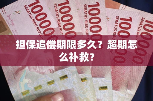 济南担保追偿期限多久？超期怎么补救？