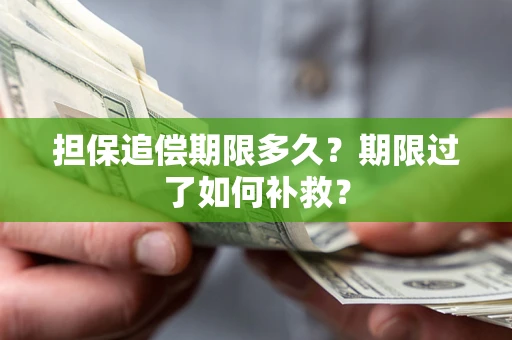 济南担保追偿期限多久？期限过了如何补救？