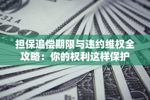 济南担保追偿期限与违约维权全攻略：你的权利这样保护