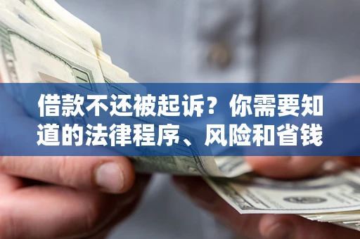 济南借款不还被起诉？你需要知道的法律程序、风险和省钱技巧